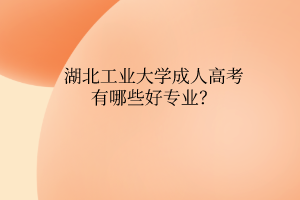 湖北工业大学成人高考有哪些好专业？